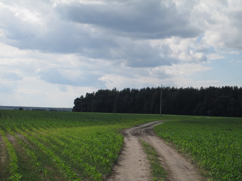 Izobrazhenie_248.jpg