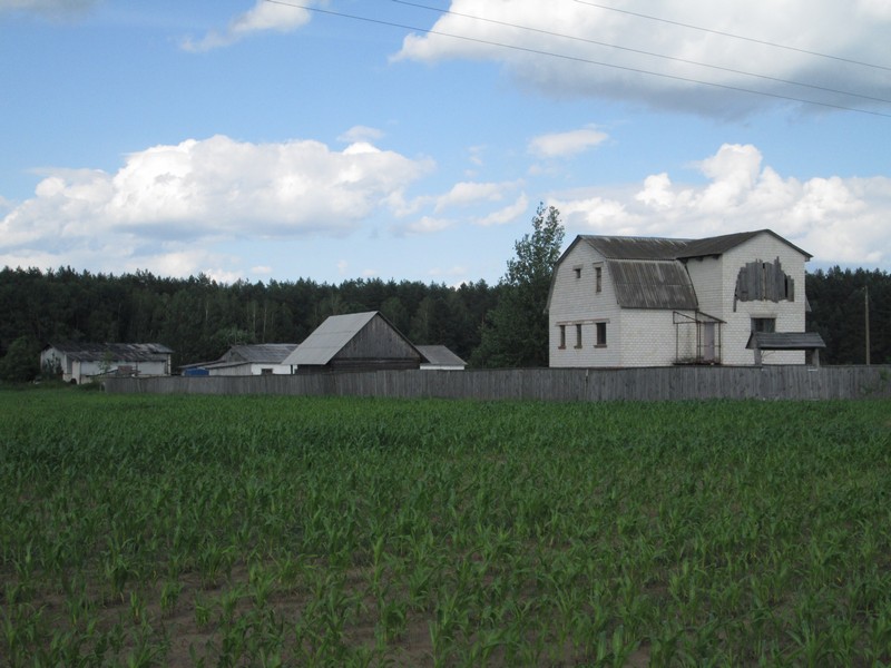 Izobrazhenie_249_2.jpg