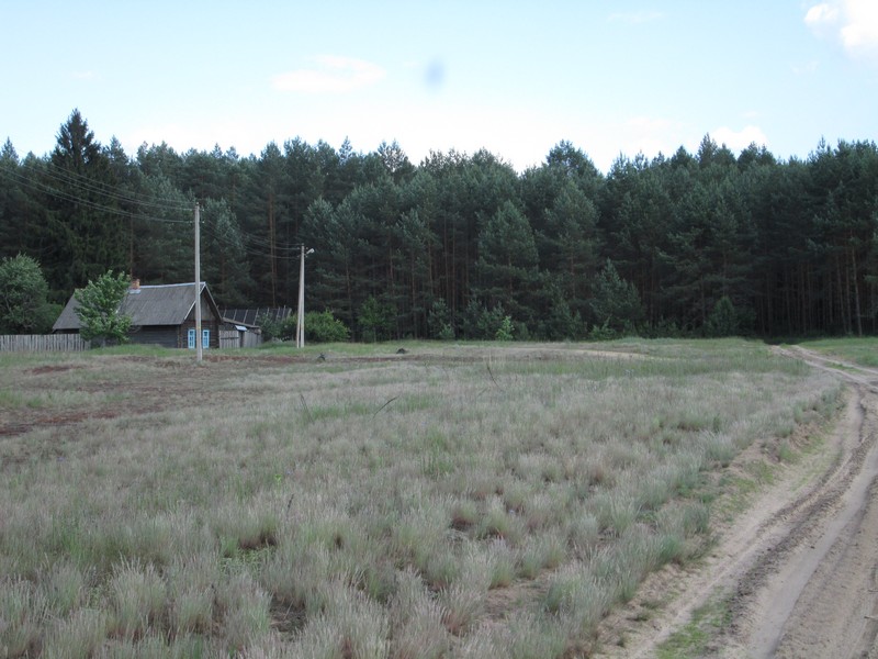 Izobrazhenie_253_3.jpg