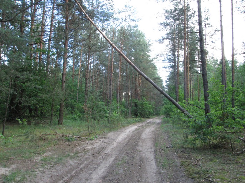 Izobrazhenie_256.jpg