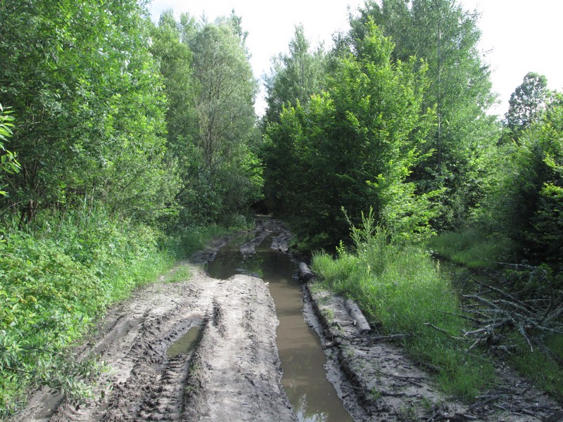 Izobrazhenie_263_3.jpg