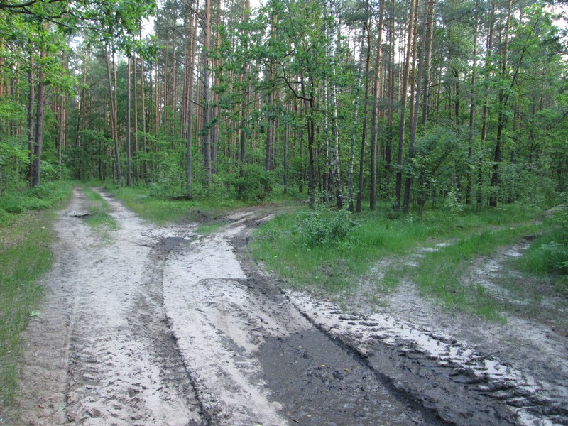 Izobrazhenie_265.jpg