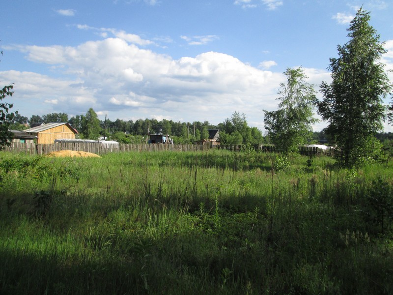 Izobrazhenie_266_3.jpg