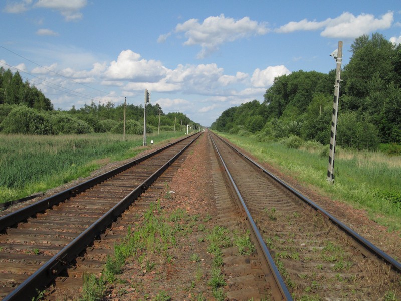 Izobrazhenie_267.jpg