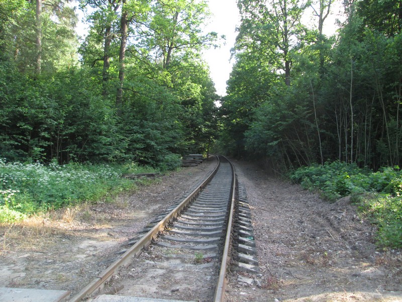 Izobrazhenie_274_4.jpg