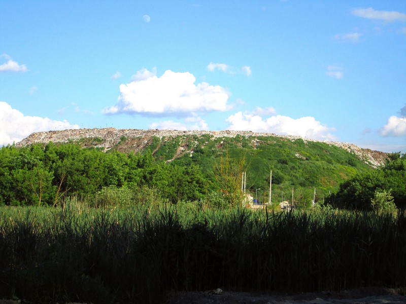 Izobrazhenie_275_2.jpg