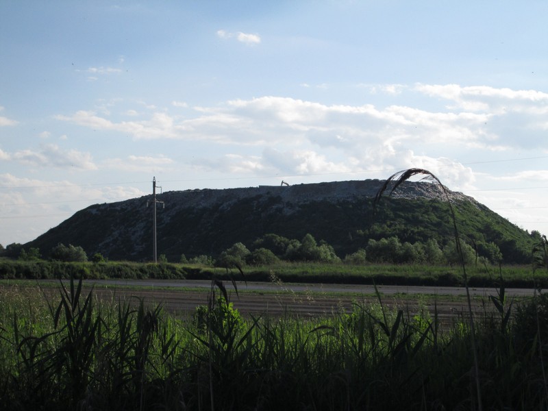 Izobrazhenie_280.jpg