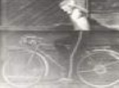 phoenicurus