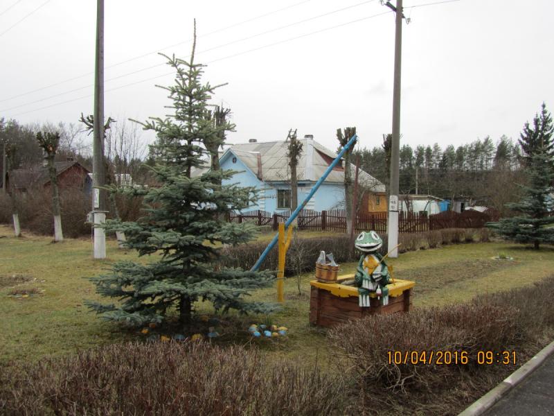 IMG_0011_11.jpg