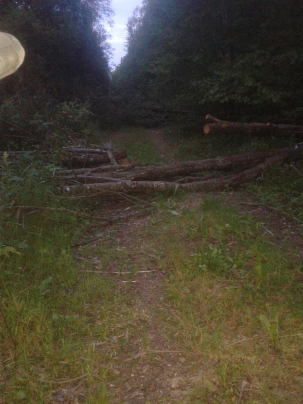 20150729_213442.jpg