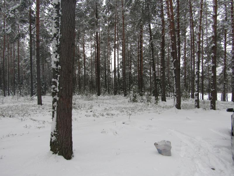 IMG_0666_3.jpg