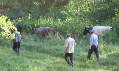 08IMG_3389.JPG