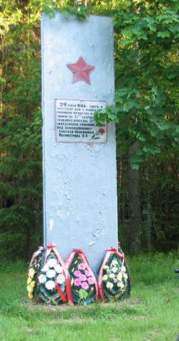 IMG_5831.jpg