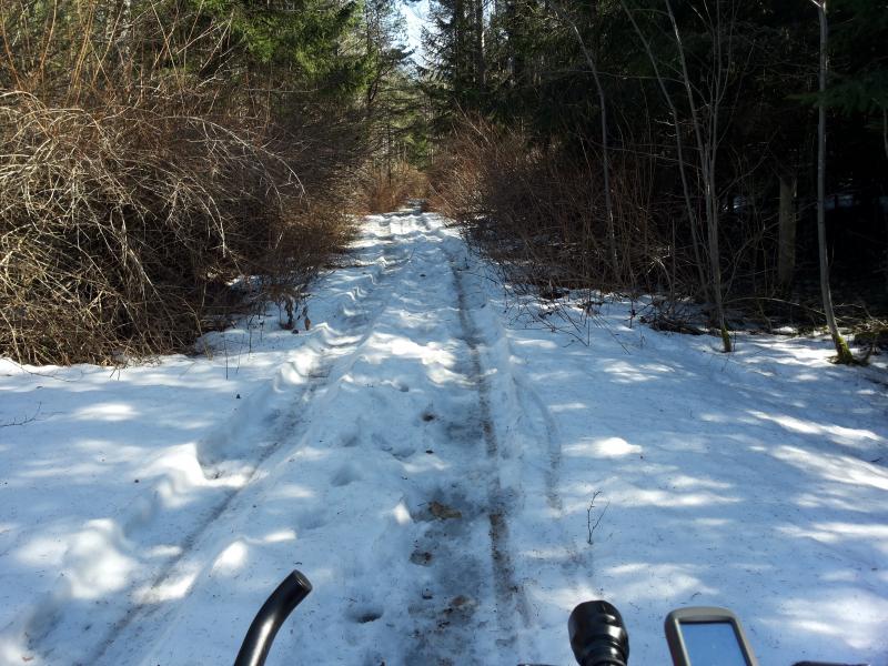 20180407_141830.jpg