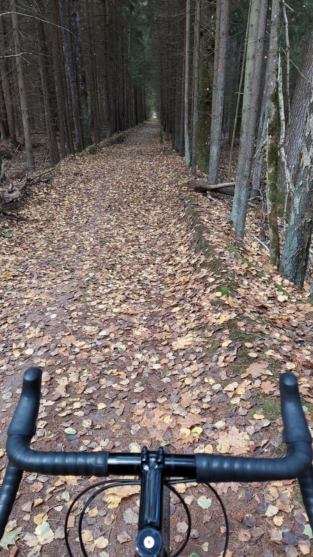 20201018_145053.jpg