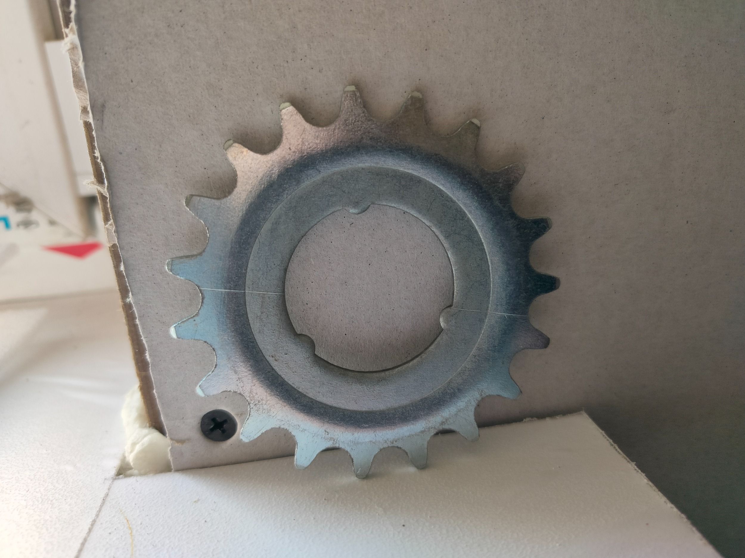 IMG20230419104419.jpg