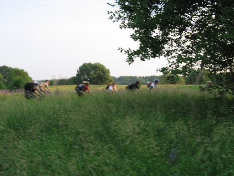 IMG_1747.jpg