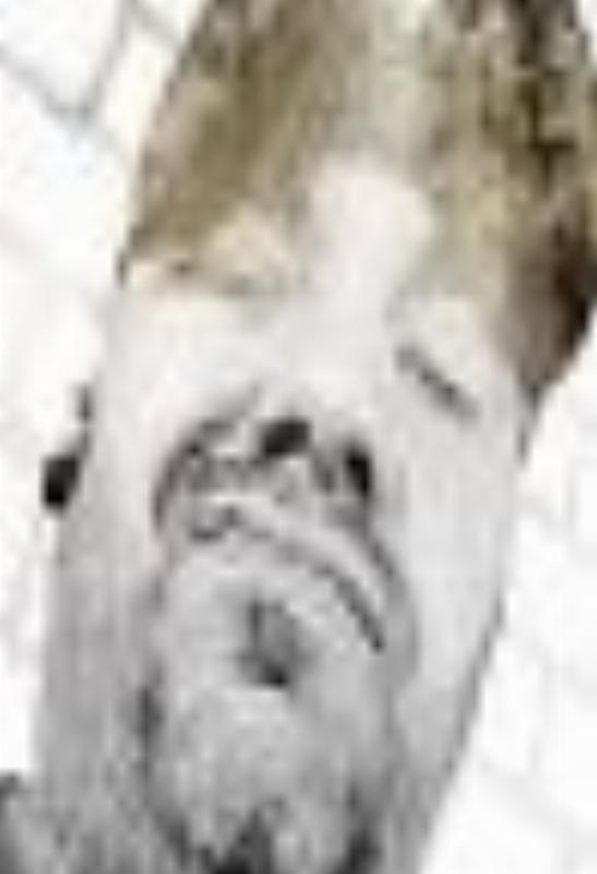 psixo