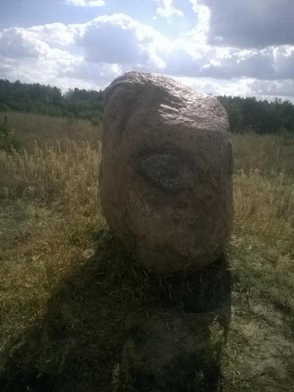 WP_20160910_008.jpg
