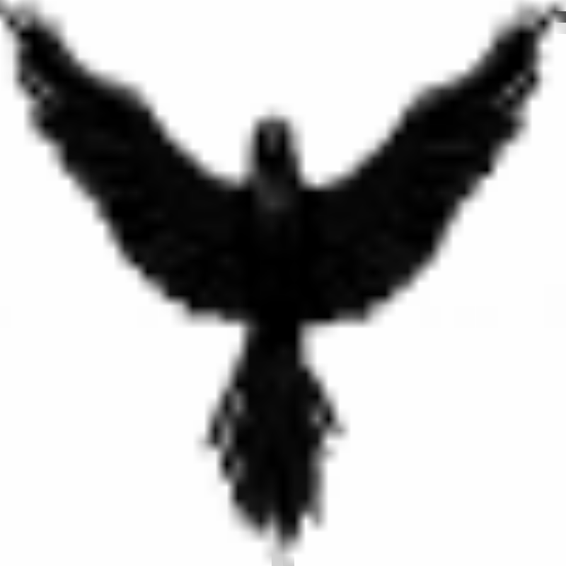 MournfulRaven