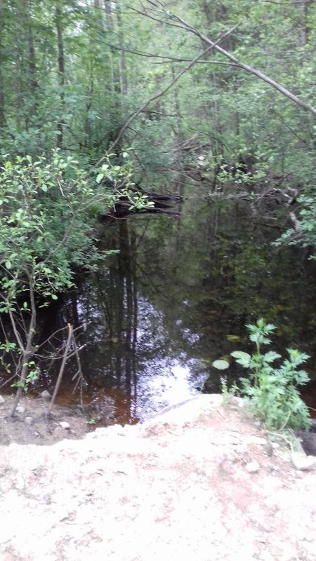 20170603_114911.jpg