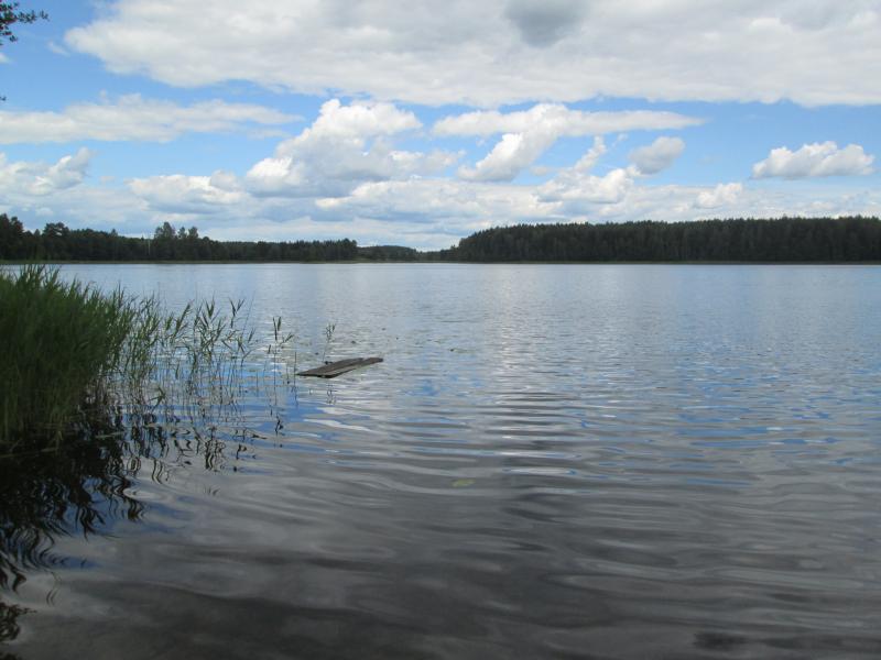 IMG_3672_3.jpg