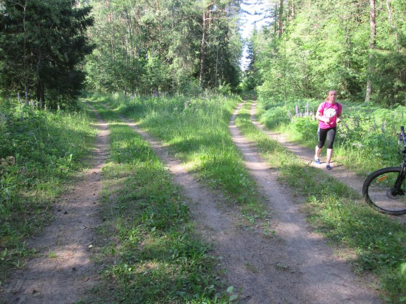 IMG_3694.jpg