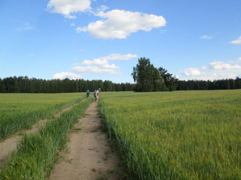 IMG_3724_2.jpg