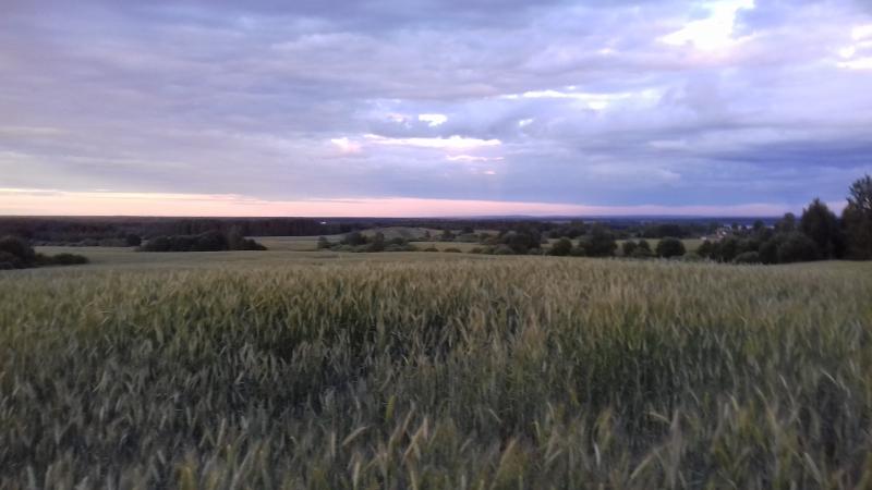 20170708_211308.jpg