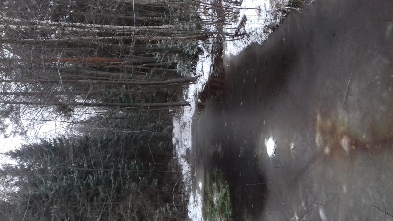 20181125_115519.jpg