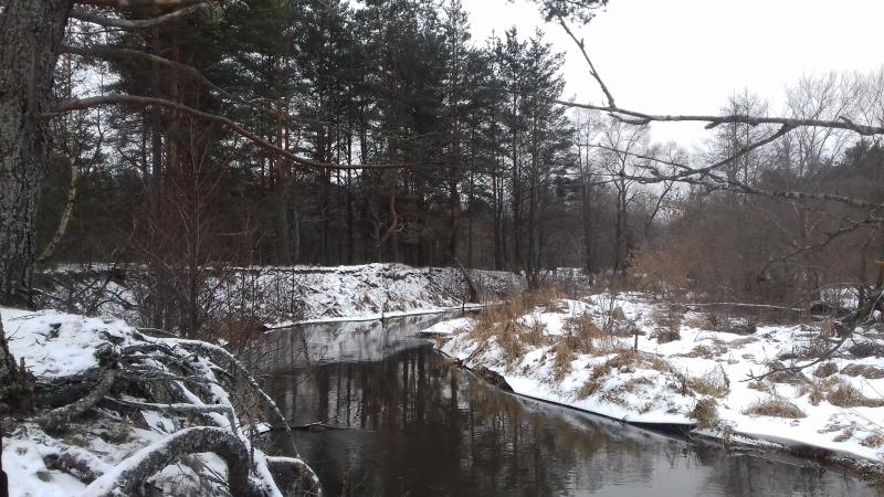 20181216_134202.jpg
