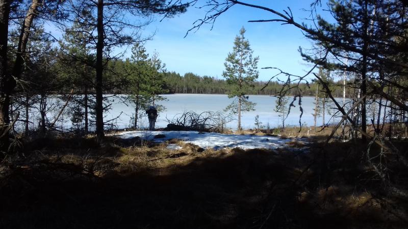 20190323_144637.jpg