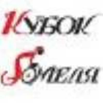 КубокГомеля