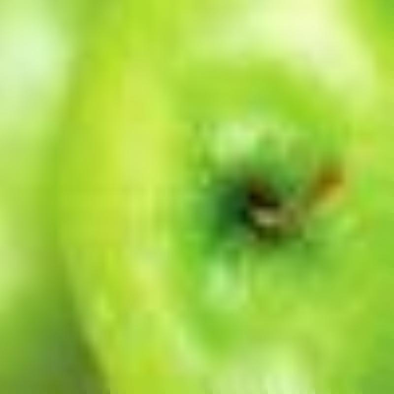 CannondaleBrest
