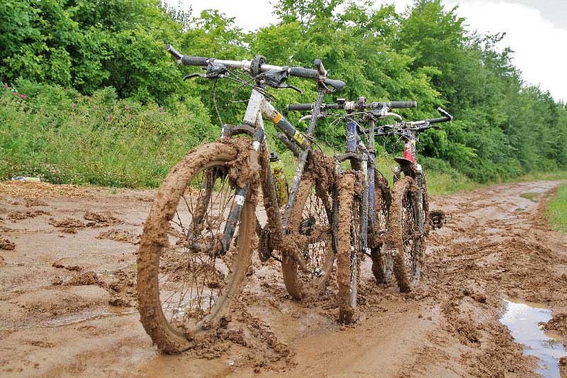 bikes_g.jpg