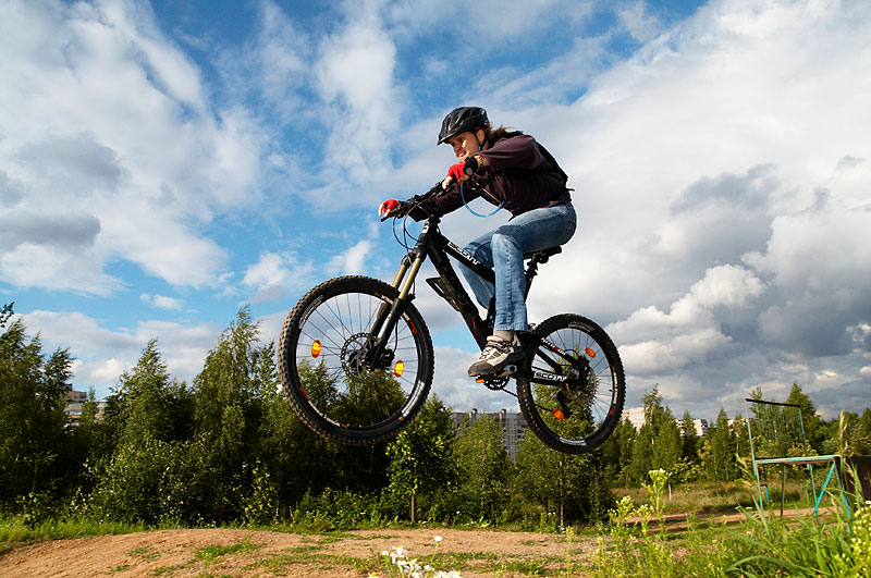 flying_thrush_2.jpg