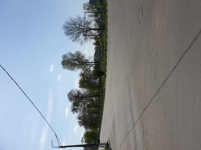 20190427_125908.jpg