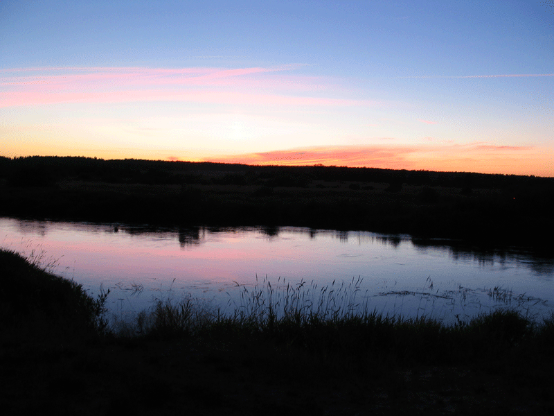 IMG_1585.gif