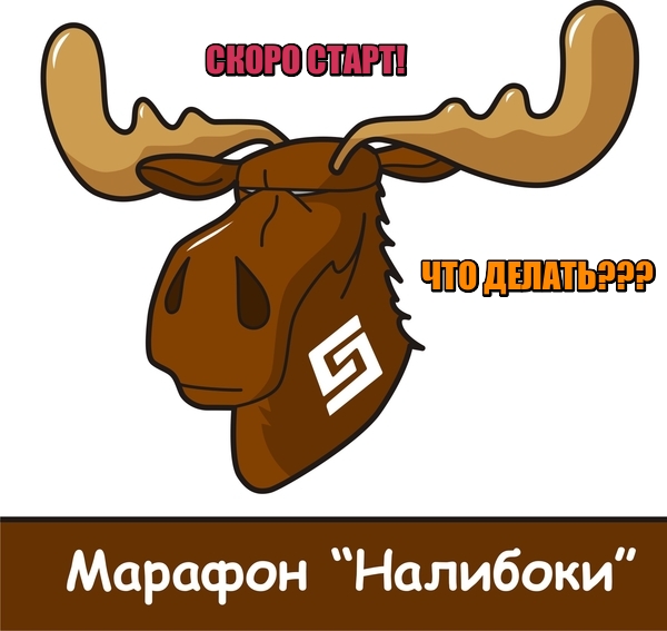 1205.jpg