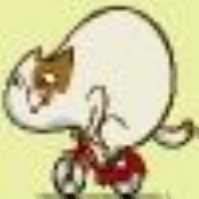 VeloCAT