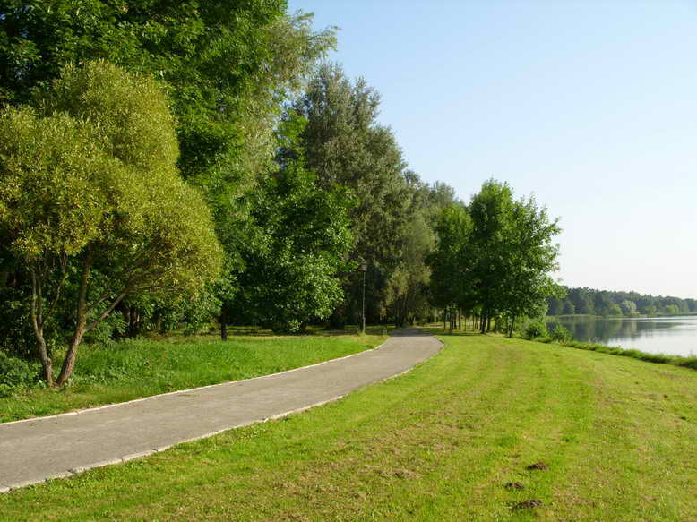 SS852629.jpg