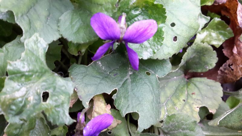 20151129_185549.jpg
