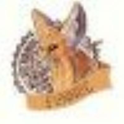 fennec