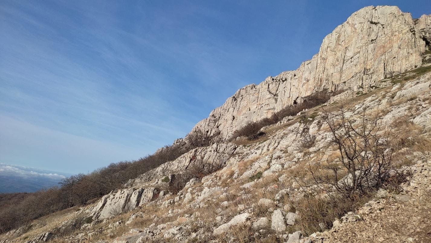 image13.jpg