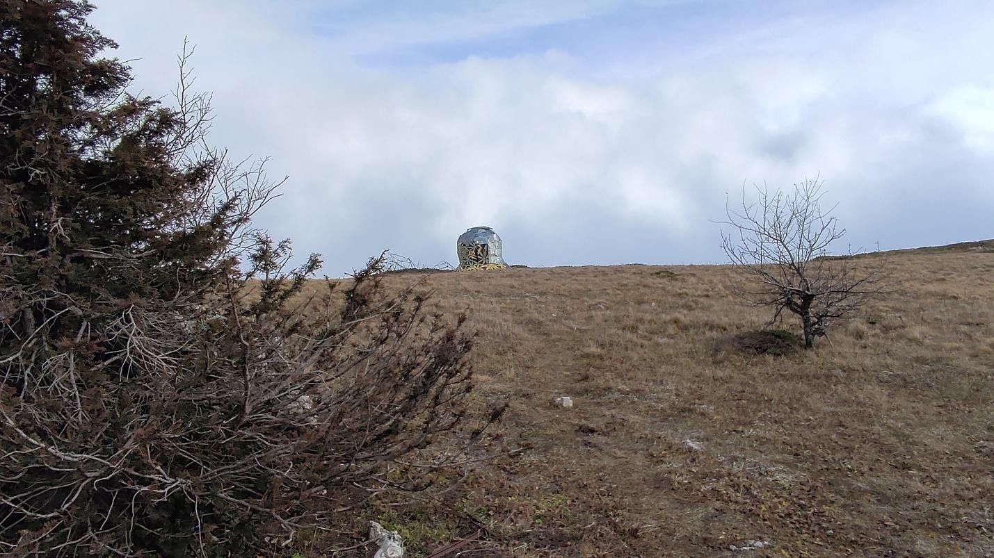 image2.jpg