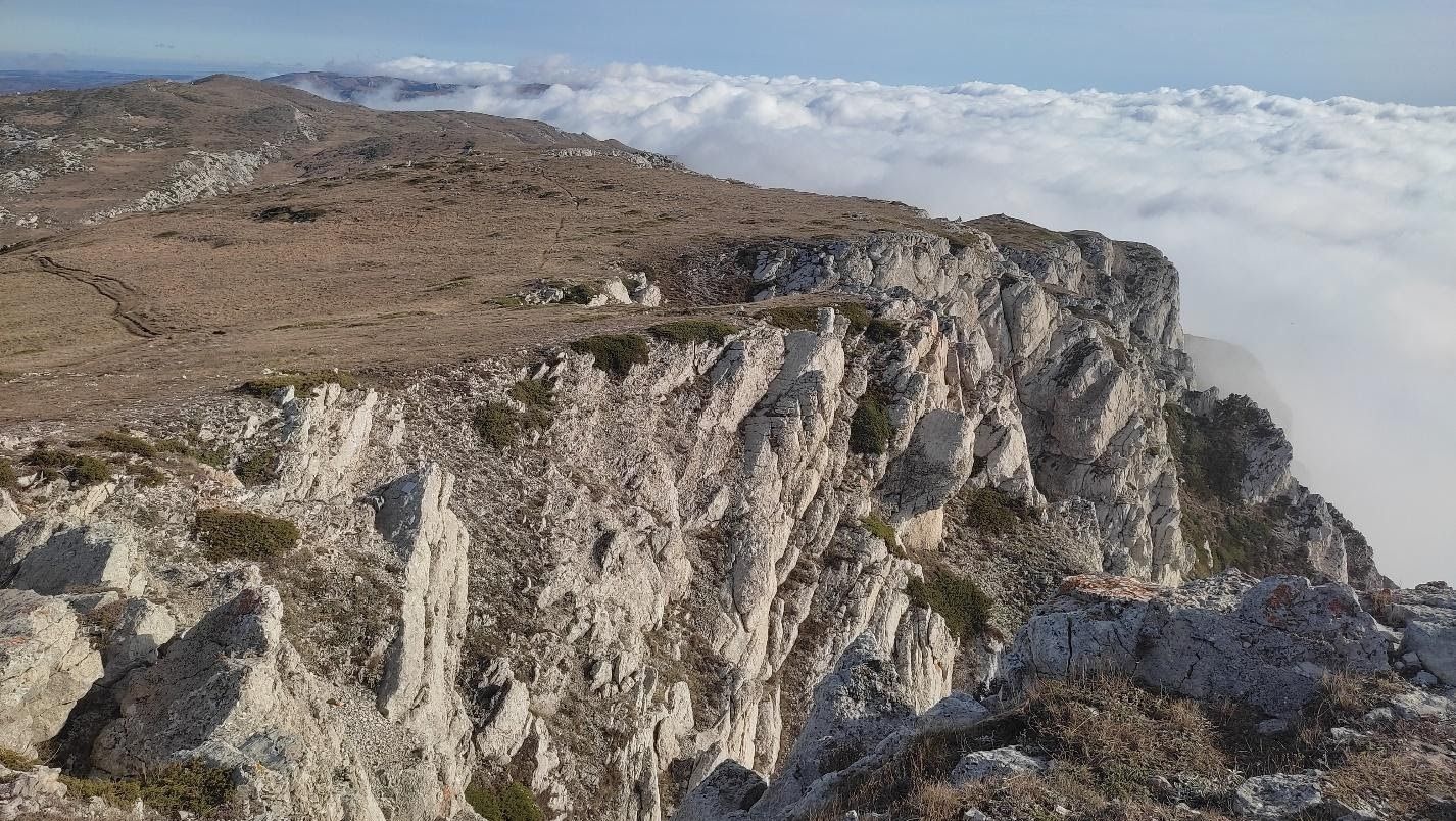 image7.jpg