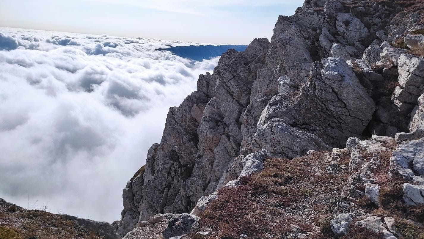 image6.jpg
