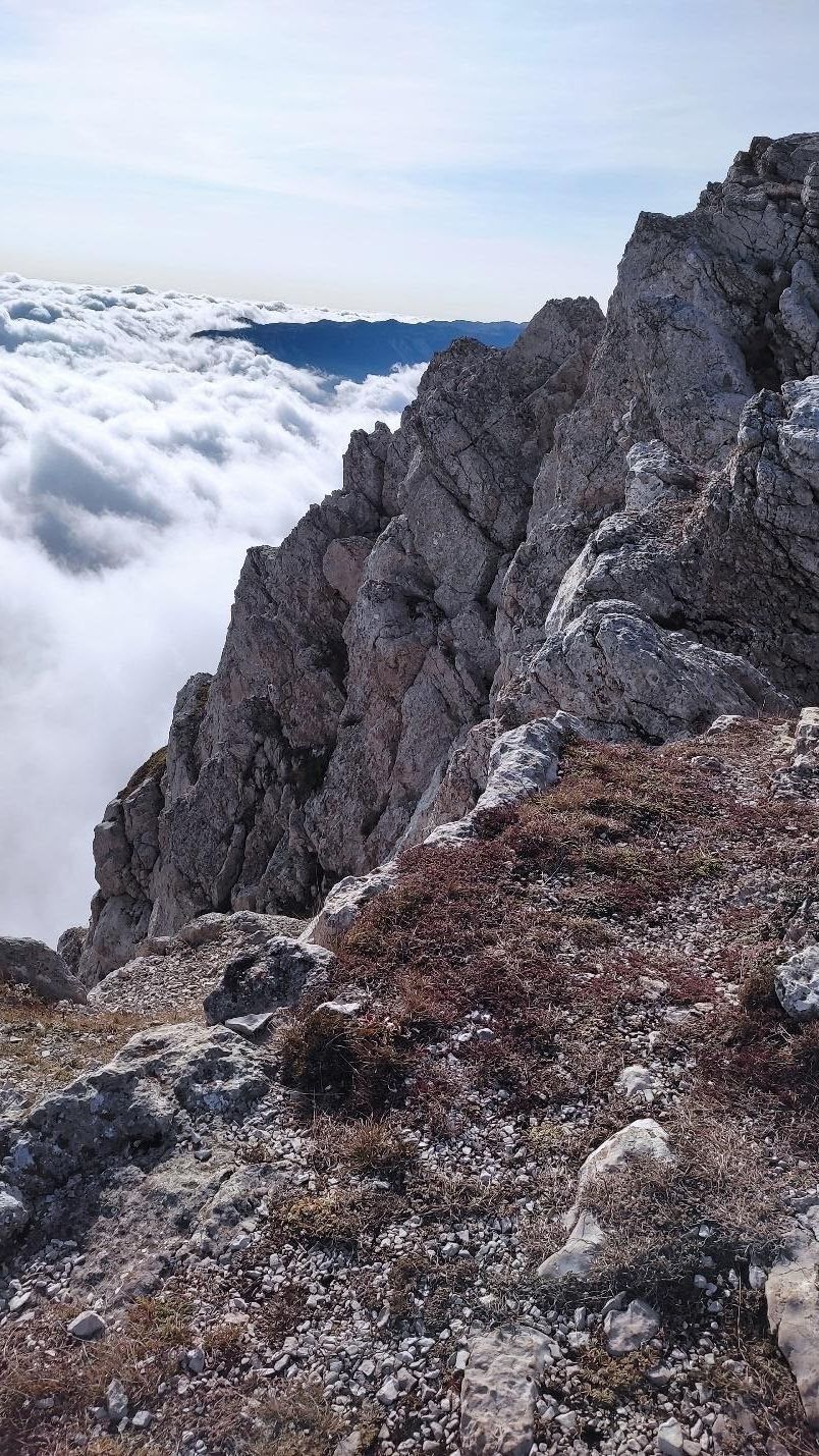 image5.jpg