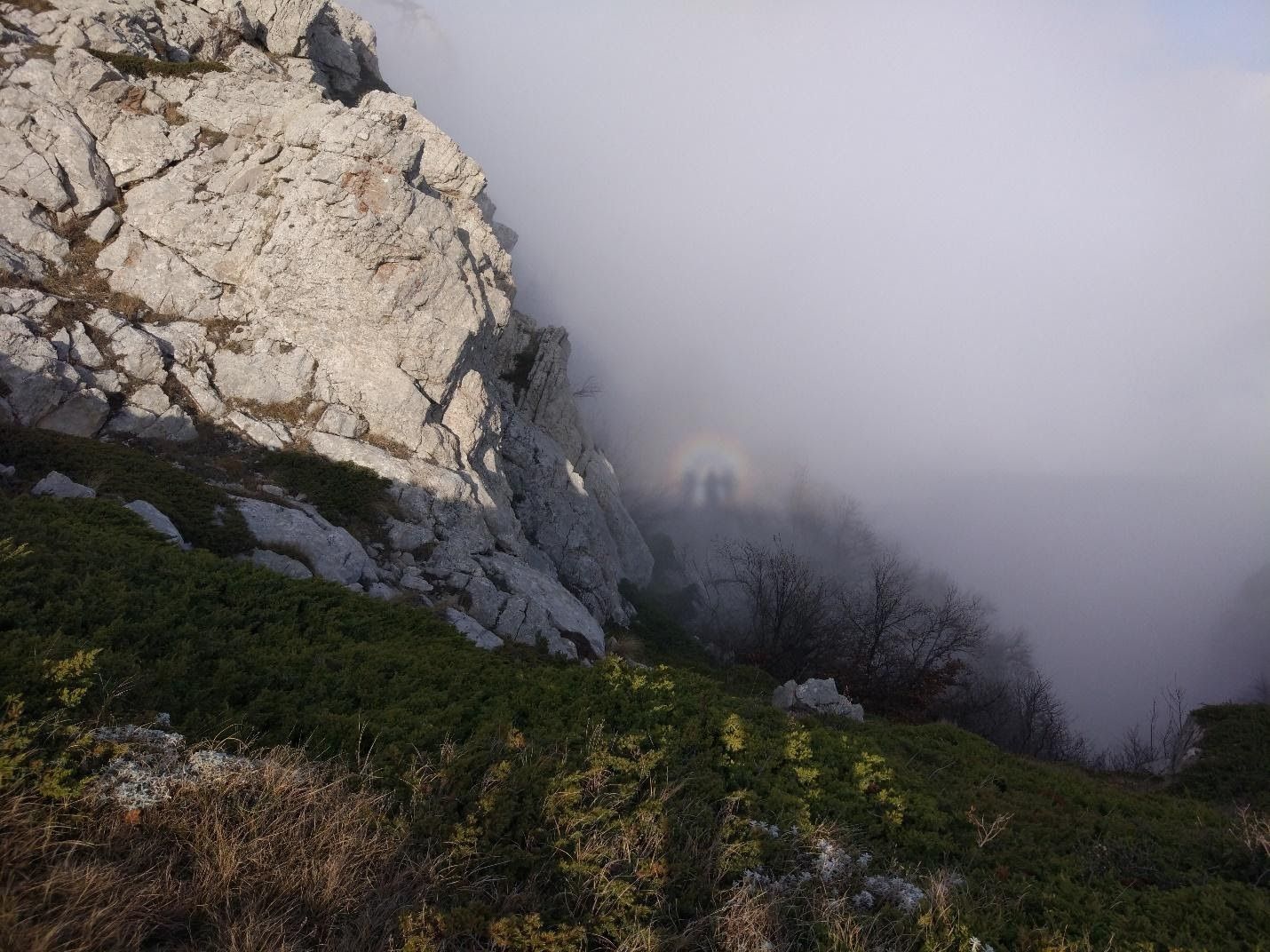 image12.jpg