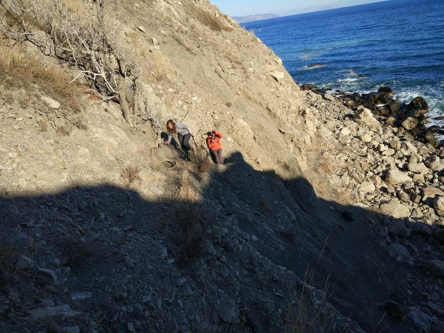 image9.jpg